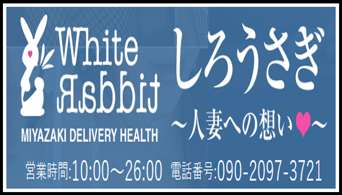 しろうさぎ